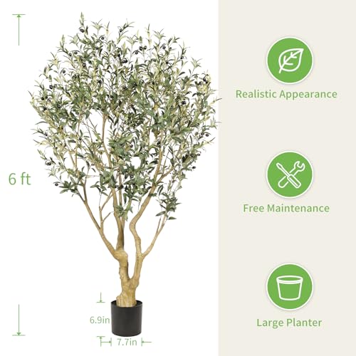 Realead 6ft Olive Trees Artificial Indoor - Large Faux Olive Tree with Realistic Leaves and Olives - Full and Grand Design Fake Olive Tree with Sturdy Base for Indoor Home Office Decor - size: 6ft