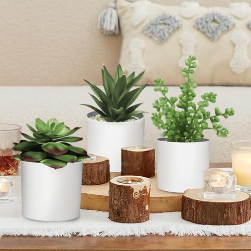 Hopewood Succulent Plants Artificial in White Pots Small Faux Potted Succulents Fake Plants in Vase Set of 3 - color: Faux Plants-white