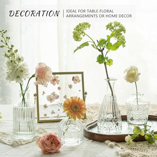 SUPMIND Glass Bud Vase Set of 5, Clear Small Flower Vases for Centerpieces in Bulk, Mini Vintage Vase for Rustic Wedding, Home,Table - color: Clear, size: 5Pcs