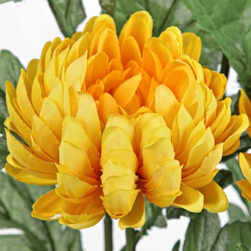 Hollyone 5Pcs Fake Mums Flowers Yellow Artificial Chrysanthemum Flowers Silk 22.8inch Long Stem Floral Arrangements Bouquets Faux Spider Mum Flower Pincushion Flower Bush Spring Home Decor - color: Yellow