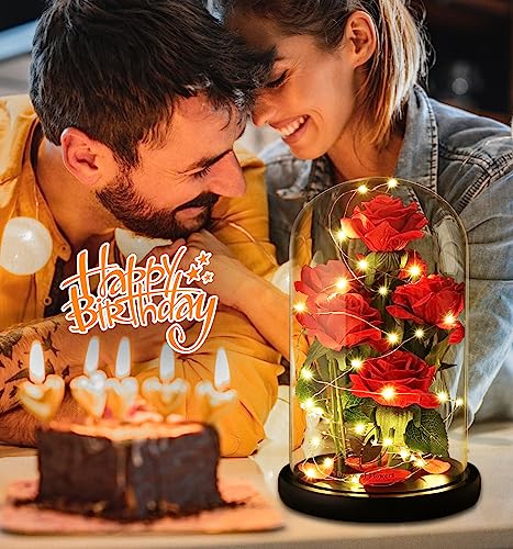 Mothers Day Rose Gifts for Women,Beauty and Beast Rose in Glass Dome with LED Light,Glass Rose Flower Gifts for Family Valentines Birthday Gifts for Women Mom Wife Girlfriend Friend Forever Red Rose - color: Charming Rose