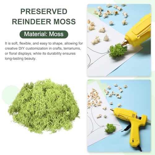MECCANIXITY 3oz Preserved Reindeer Moss, Bright Green Decorative Artificial Fake Moss for Potted Plants Indoor Crafts Lichen Centerpieces Decor - color: Bright Green, size: 3oz