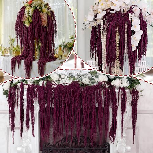 Suncalla 12 Pcs Dark Purple Spring Natural Dried Amaranthus Hanging Flowers Amaranthus Artificial Flowers for Wedding Arch Bouquet Floral Garland Wall Home Decoration (23 Inch) - color: Dark Purple