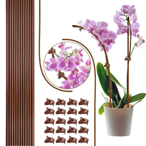 22Pcs Plant Stakes with 22 Pcs Clips, 15.8 inches Bendable Green Plant Sticks for Indoor and Outdoor Plants,Potted Plants,Single Stem Flower Support for Orchid Peony Rose (22, Brown) - color: brown