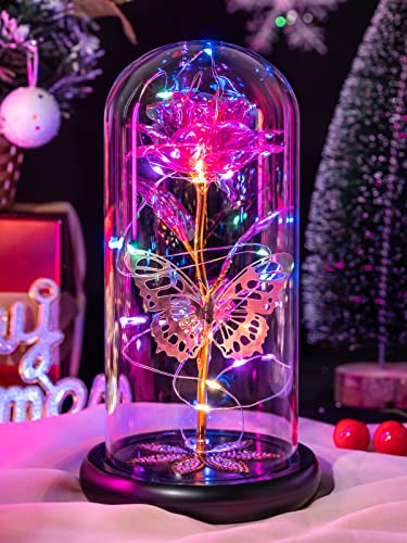 Mothers Day Flowers Gifts for Mom Women Birthday Gift, Galaxy Glass Rose Forever Eternal Crystal Flowers Rose in Glass Dome with Butterfly Mother's Day Roses Gifts for Mom Daughter Wife Grandma Pink - color: D Pink