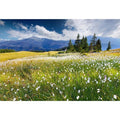 7x5ft Vinyl Summer Landscape Backdrops for Photography Background Blooming Flower Mountain Landscape Grass Field Vacation Holiday Party Backdrop Children Adults Portraits Photo Studio - size: 7x5ft