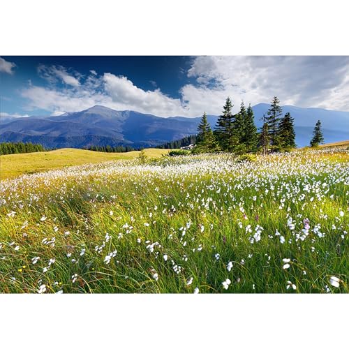 5x3ft Vinyl Summer Landscape Backdrops for Photography Background Blooming Flower Mountain Landscape Grass Field Vacation Holiday Party Backdrop Children Adults Portraits Photo Studio - size: 5x3ft