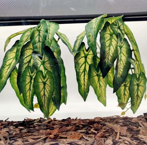 Reptile Plants for Terrarium, Amphibian Habitat Decor Artificial Hanging Plants with Suction Cup, Artificial Plants for Gecko Chameleon Snake Tortoise Tank Accessories. 2-Pack (Alocasia odora-B) - color: Alocasia Odora-b