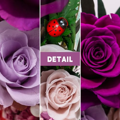 Forever Flower Gifts for Her:Perfect Graduation Flowers for Daughter Wife Mom-Preserved Flower with Symbolic Ladybugs–Flowers for Delivery Prime on Anniversary Valentines Birthday (Purple) - color: Purple2