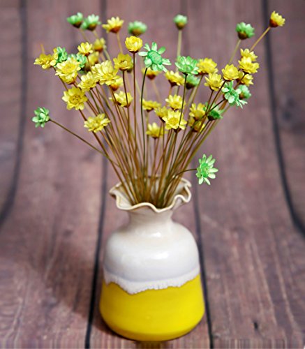 100 Stems Natural Dry Flowers Brazilian Small Star Daisy Decorative Dried Flowers Mini Daisy Chamomile Bouquet for Wedding Floral Arrangements Home Decorations (Autumn Color) - color: Autumn Color