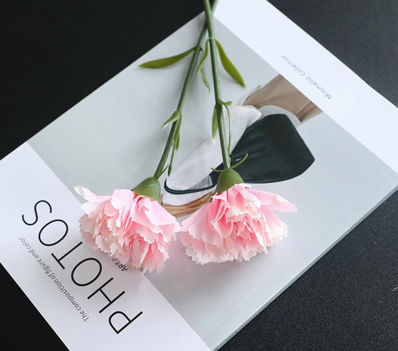 Rikyo 11 Inch Bouquets 10 Stem Artificial Pink Carnations,Outdoor No Fade Artificial Flower,Mini Carnation Silk Petals Fake Flowers Forever Plants for Home Party and Wedding Holding Flowers - color: Pink