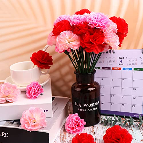 120 Pack Artificial Carnations with Stems Leaves Eternal Blossom Silk Carnation Flower Artificial Pom Pom Mini Hydrangea Birthday Party for Home, Wedding(Scarlet, Pink, Light Pink) 5g6e8t1sm19