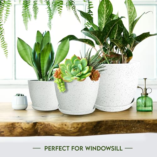 Utopia Home - Spotty Plant Pots Indoor with Drainage - 7/6.6/6/5.3/4.8 Inches Flower Pots - 5 Pack Plastic Planters - Ideal for Stocking Stuffers - (Speckled Grey, Pack of 5) - color: Speckled Grey, size: Pack of 5