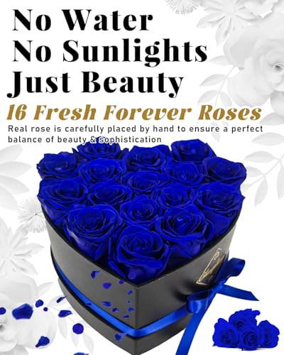 Changshunqi 16 Flowers Forever Preserved Roses in Box, Forever Flowers Womens Birthday Gifts for Women Mothers Blue Rose Gift for Her Romantic Eternal Real Rose for Women Mom Wife - color: Mystic Blue