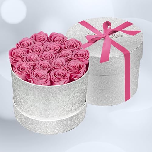 Prifroti 17 Pink Flowers in Glitter Box, Birthday Gifts for Women, Preserved Flowers, Mothers Day Roses Gift for Mom - color: Pink | Glitter Box, size: 17 Roses