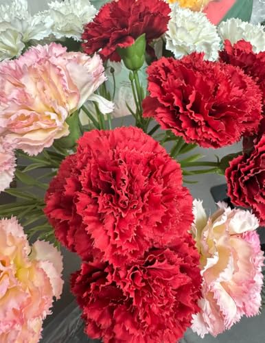 10 Stem Artificial Flowers Carnations Bouquets,11inch Real Touch Flowers with Stems,Silk Petals Fake Flowers Forever Plants for Wedding Flower Bouquet Centerpieces Bridal Shower Birthday (Red) - color: Red