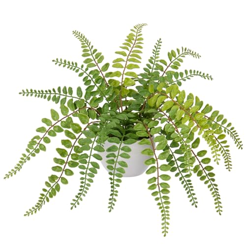 Hollyone Artificial Fern Potted Plant for Outdoors Indoors - Lifelike Faux Boston Fern in White Pot for Garden, Patio, Home, Farmhouse, Windowsill, Office, Living Room, Desk Decoration - color: Green 1