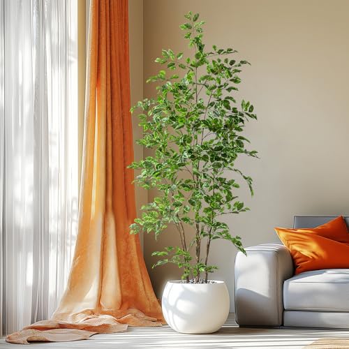 Bailikang Artificial Ficus Tree Indoor 6ft, Large Potted Faux Tree with Realistic Silk Leaves & Trunk for Home Office, Living Room Corner Decor - color: White Green, size: 6ft