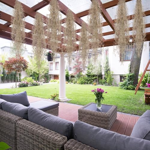 Giegxin Spanish Moss 41'' Fake Hanging Succulents Faux Moss Artificial Succulent Plants Vines Hanging Plants Swamp Decoration Potted Artificial Garland(Brown,12 Pack) - color: Brown