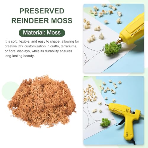 MECCANIXITY 4.6oz Preserved Reindeer Moss, Orange Decorative Artificial Fake Moss for Potted Plants Indoor Crafts Lichen Centerpieces Decor - color: Orange, size: 4.6oz