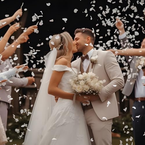 1500Pcs Real Dried Ivory White Hydrangea Petals for Wedding Petal Showers Romantic Evenings Proposal Decorations DIY Crafts Party Favors (1.06 oz)