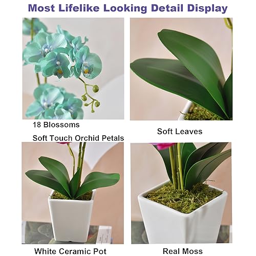 Faux Orchid in Vase Large Artificial Orchid in Ceramic Vase Teal Silk Orchids with Stems Real Look Potted Fake Flowers Arrangement Centerpiece Table Decorations for Home Decor Indoor, Golden Blue - color: Y-golden Blue