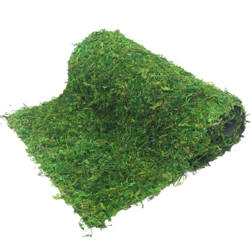 FAICOIA Moss Table Runner Dried Moss for Crafts Green Moss Roll for Fairy Gardens Wedding Woodland Decor 12" x 60" Preserved Moss Mat for Table Decoration Moss Carpet for Moss Grass Wall 30x153cm - color: 12 x 60 Inch/30 x 153 cm