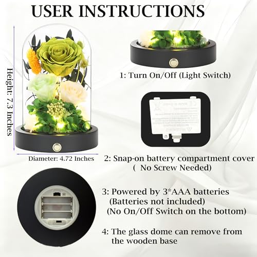 Preserved Flowers in Glass Dome with LED Light, Forever Flowers for Delivery, Eternal Roses Gifts for Women Mom Girlfriend Wife . Valentines Day Mothers Day Anniversary Birthday Gifts For Her(Green) - color: New Green