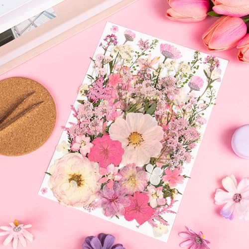 50pcs Pink Pressed Flowers Bulk, Romantic Dried Flower Leaves, Natural Pressed Dried Flowers with Tweezer for DIY Crafts Resin Mold Candles Cake Bridal Scrapbooking Supplies - size: Pink 50pcs