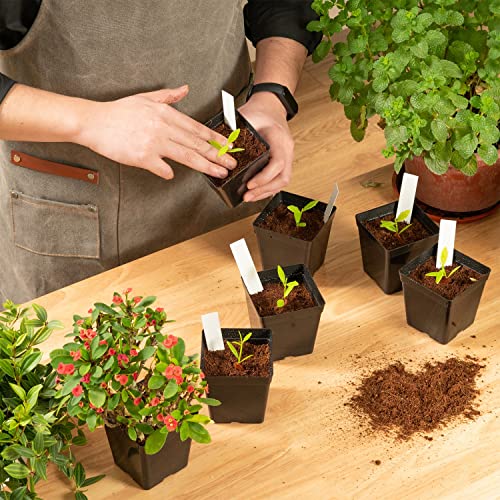 June Fox Square Nursery Pots 3.3 Inches Flexible Plastic Seedling Pots Square Pots for Plants, Succulent, Flower, Pack of 100, with 100 PCS Plant Labels - color: 100 Pcs