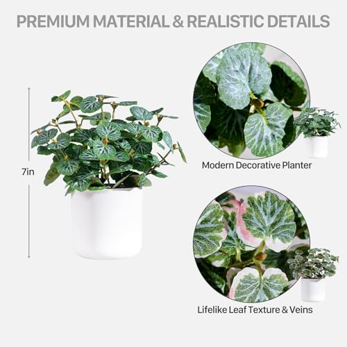 Small Artificial Plants Desk Potted Plants with Minimalist White Pot Realistic Silk Greenery Indoor Decor for Shelf Home Bathroom Farmhouse Room Coffee Table (Green-Type 3) - color: Green-type 3