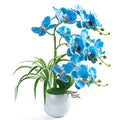 W&W Artificial Orchid Plants and Flowers with Vase, Fake Faux Orchid in Ceramic Pot,19”, Blue - color: Blue 01