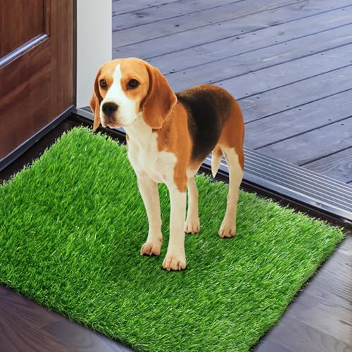 GLOBREEN Fake Grass Door Mat - 24 X 36 Inch, Indoor Outdoor Artificail Turf Pad for Puppy Potty Training Crate, Dirty Tripper Entryway Rug, Absorbent Machine Washable