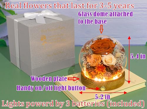 Valley of Rain & Forest Long-Lasting Real Flowers, Unique Floral Gift For You to Send Love for All Occasions, for Indoor Decoration (Orange Rose & Champagne Rose - Fall Themed) - color: Orange Rose & Champagne Rose - Fall Themed