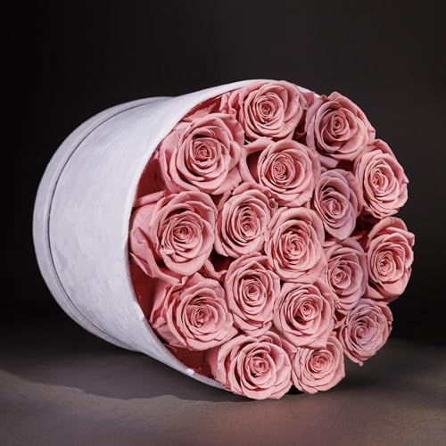 Prifroti 17 Flowers in a Luxury Suede Box, Birthday Gifts for Women, Preserved Flowers, Mothers Day Roses Gift for Mom, Dusty Rose - color: Dusty Rose, size: 17 Roses