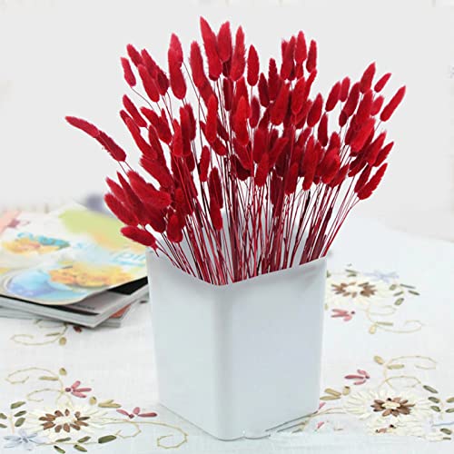 CISDUEO 120pcs Dried Bunny Tails Flowers Red Lagurus Ovatus Tail Dried Flowers Pampas Grass Natural Dried Floral Arrangement for Boho Decor Home Wedding DIY Farmhouse Table Christmas Halloween (17") - color: Red