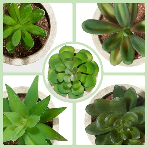 Artificial Succulent Plants in Pots, Set of 5 Mini Fake Succulents for Indoor Home Decor, Small Faux Potted Greenery for Office Desk, Shelf, Bathroom, or Modern Boho Rustic Room Decoration