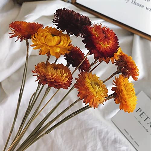 Dried Flowers Natural Daisy Mums Flower - 20 Stems Multicolor Daisies Artificial Sunflowers, Dry Fall Orange Flowers Bouquets for Vase, Wedding Home Farmhouse Decor, DIY Table Centerpiece Decoration