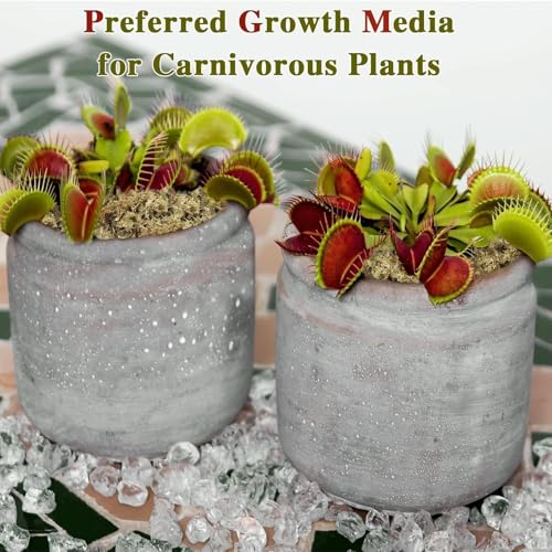 Halatool 3.6OZ Premium Sphagnum Moss for Indoor Plants, 4 QT Orchid Moss Potting Mix - Natural Sphagnum Moss for Succulents, Carnivorous(Sarracenia), Monstera, Terrarium Substrate & Reptile Habitats - size: 4 qt (0.2 lbs)