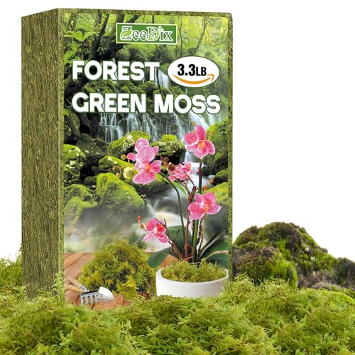 ZeeDix 3.3 lbs Forest Moss for Plants Indoor - Dried Orchid Moss for Repotting, Natural Green Sphagnum for Potted Plants Carnivorous Monstera Succulents Crafts Reptile Habitat (Expands to 60 qt) - color: 3.3LB