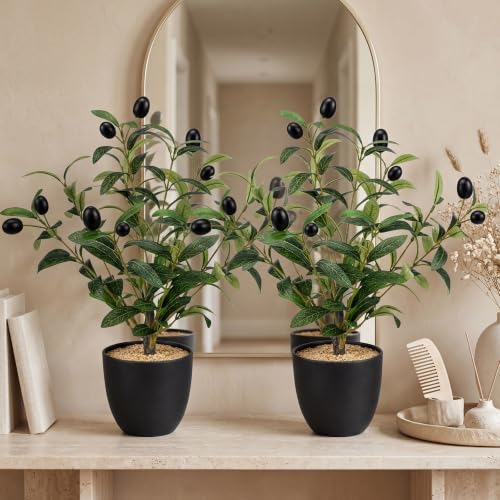 Giegxin 2 Pack 15.8 Inch Small Artificial Olive Tree Indoor 40cm Faux Olive Plant with Black Pot for Home Office Room Table Modern Decor - color: Black