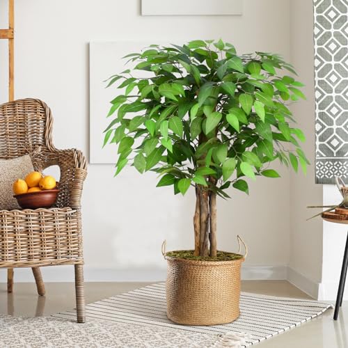 3ft Ficus Artificial Trees with Natural Curved Trunks, 36" Tall Lush Faux Tree for Home Decor Indoor, Green Lifelike Fake Ficus Tree Artificial Plants - size: 3ft