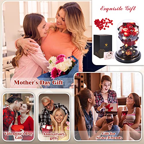 Dream of Flowers Eternal Beauty and the Beast Rose Bouquet - Mothers Day Rose Gifts for Mom, Grandma | Glass Dome Rose with 2 Light Modes, Sentimental Floral Gift, Birthday Gifts for Women - color: Classic Red Rose