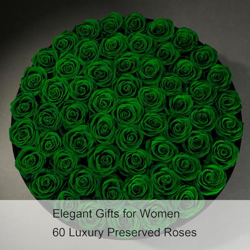 Gifts for Women – NATROSES 60 Preserved Roses in Luxury Black Velvet Box, Preserved Flowers for Delivery Gift for Her, Elegant Rose for Birthday, Mother’s Day, Christmas (Forest Green) - color: Forest Green, size: 60 Roses