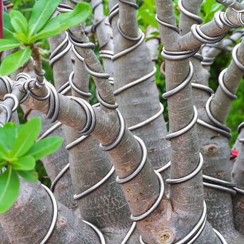 Pelopy Aluminum Wire 1/8 Inch Diameter Metal Wire 50 ft Armature Bendable Armature for Sculpting Dolls Floral Jewelry Making Weaving DIY Crafts, Silver - size: 1/8 Inch,50ft