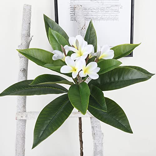 XIYUAN 35.5 Inch Artificial Flowers Artificial Frangipani Flower 2 Stems Lifelike Real Touch Artificial Plumeria Flowers for Home Party Wedding Bouquet Home Decoration (White) - color: White