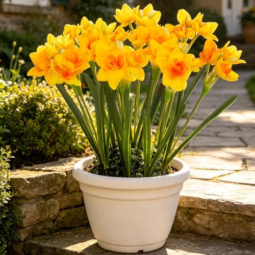 Hananona 10 Pcs Artificial Daffodils Flowers Narcissus Faux Spring Flowers Fake Silk Daffodil Flower Arrangement for Indoor Outdoor Home Wedding Decor (10, Yellow)