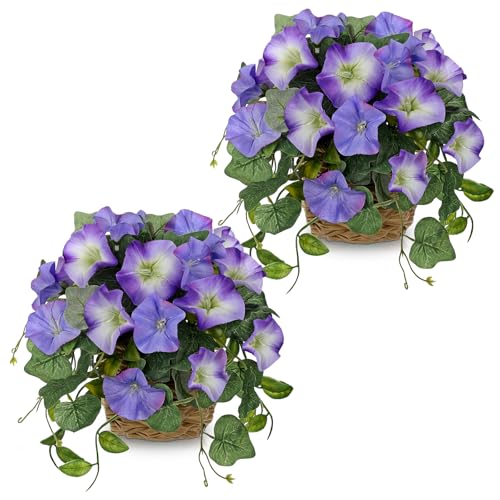 Briful 2 Pack Fake Morning Glory with Handwoven Basket - 8.2" Faux Potted Flowers Silk Floral Table Centerpiece for Home Office Room Shelf Desk Decor - color: Pale Violet