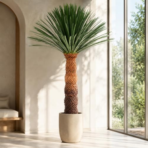 8.6FT Artificial Agave Plant in Black Pot, 103 Inch Tall Faux Agave with Removable White Coating, Fake Floor Plant for Indoor Outdoor Front Porch Patio Home Office Hotel Desert Style Decor - color: Agave Plant 103in
