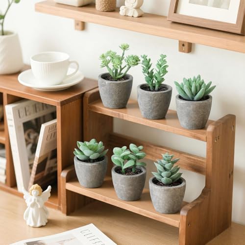 DomeStar Set of 6 Artificial Succulent Plants Potted, Assorted Decorative Faux Succulent Potted Fake Cactus Cacti Plants with Pots - color: Green